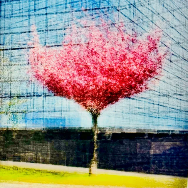 Jacob Gils - Es Capdella 3 - In The Gallery…

#samsunshine
#cinema 
#fashion 
#music 
#art 

Jacob Gils - Es Capdella 3 - In The Gallery - Archival fine art print on Awagami Japanese paper
© Photograph by Sam Sunshine at The Association of International Photography Art Dealers Show New York 2026